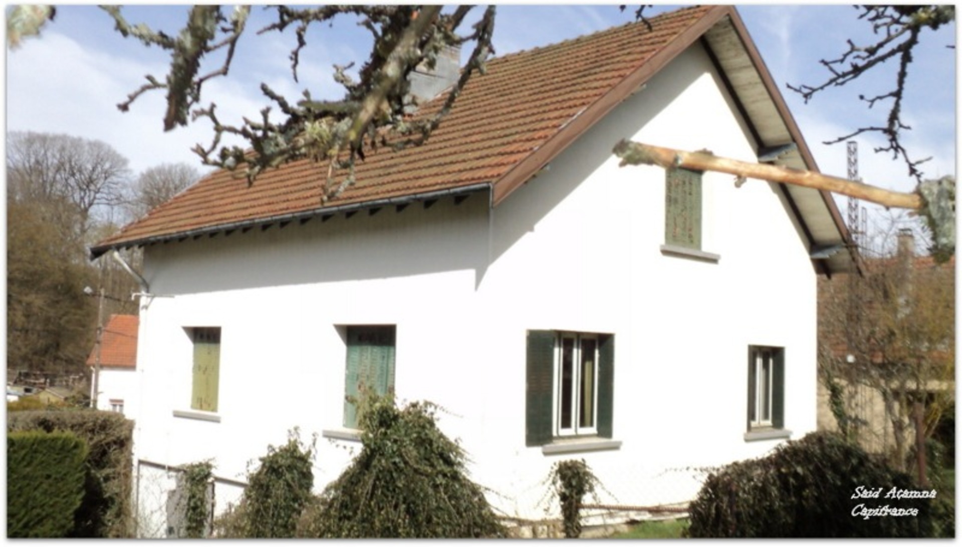 Maison