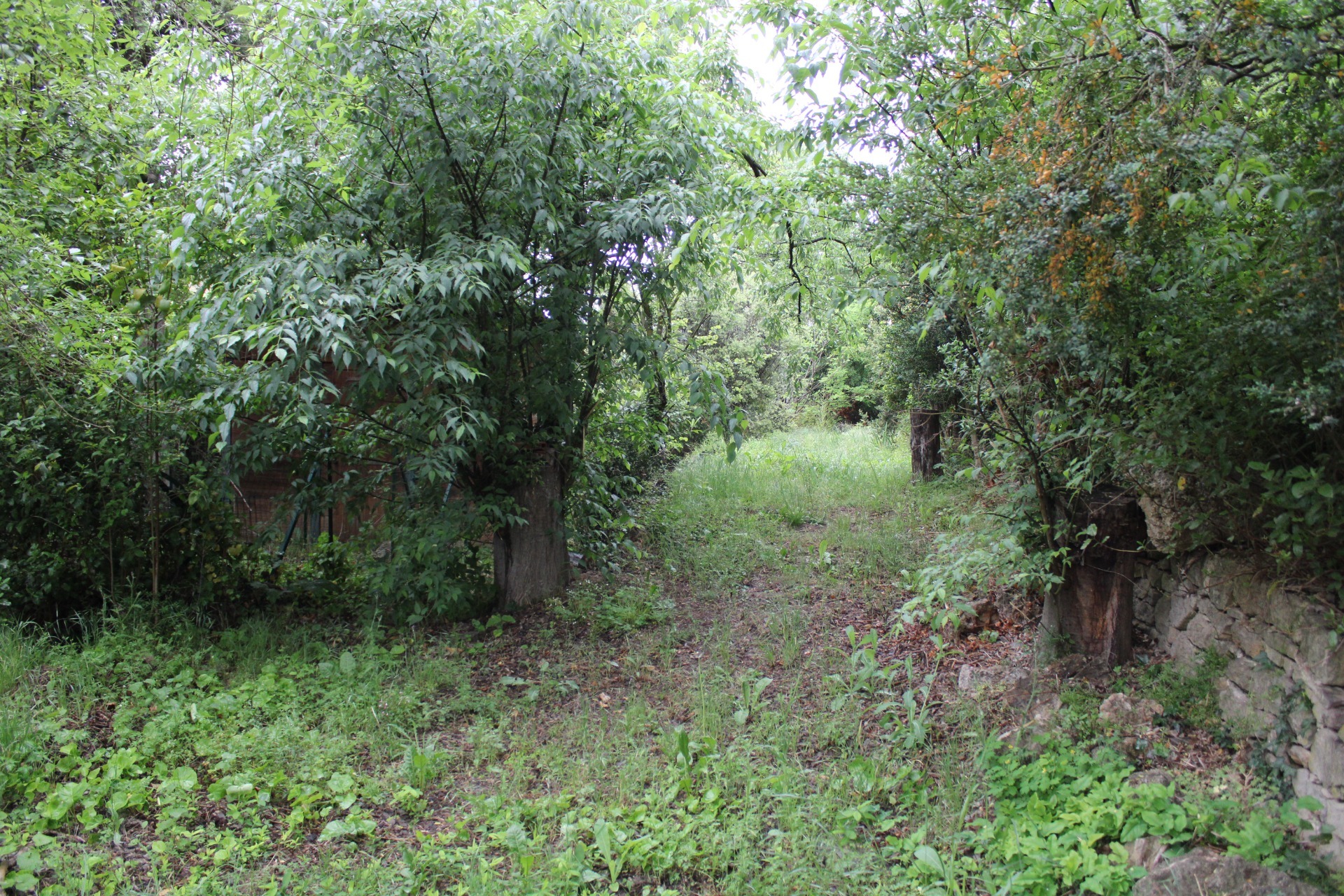 Terrain