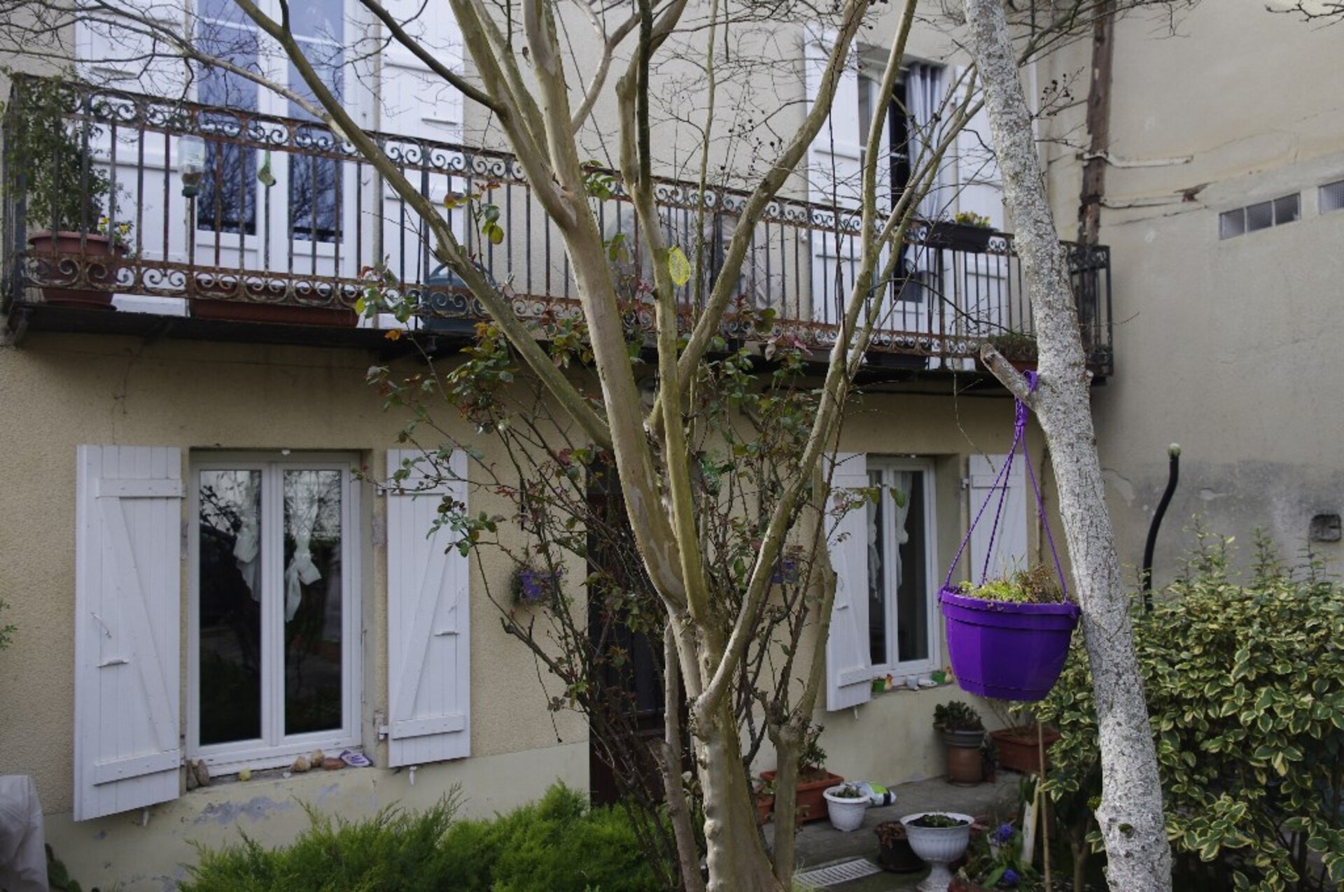 Maison