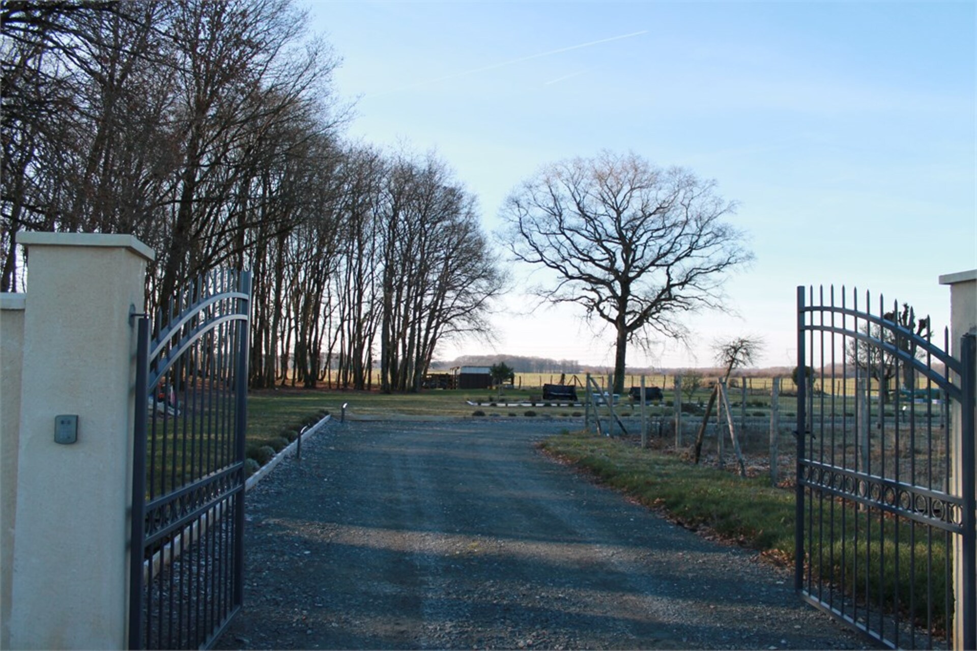 Maison