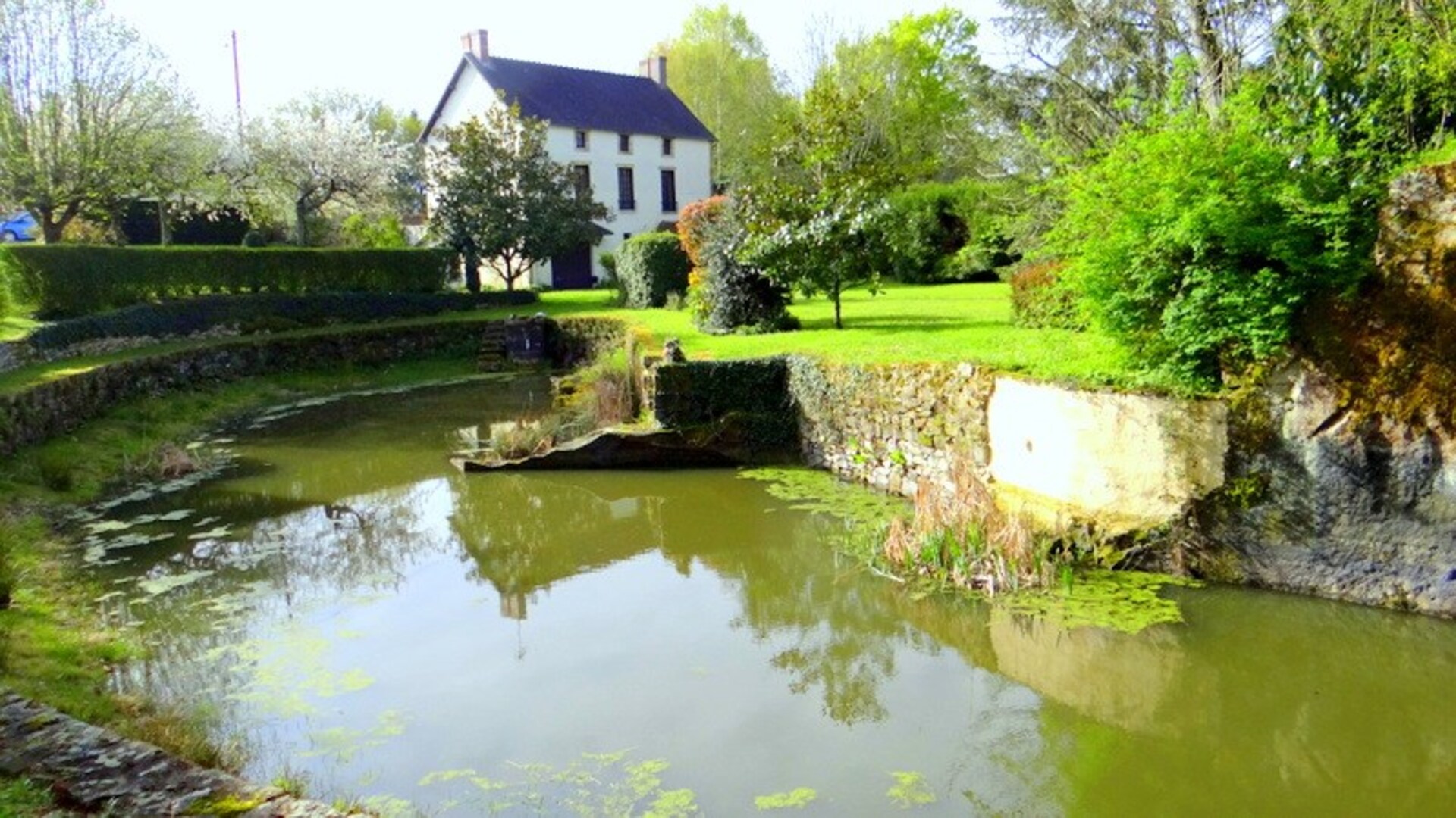 Maison