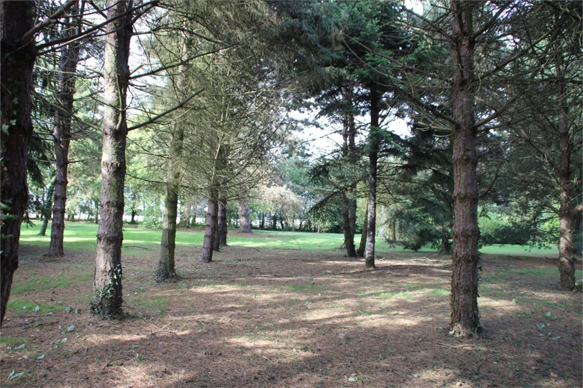 Terrain