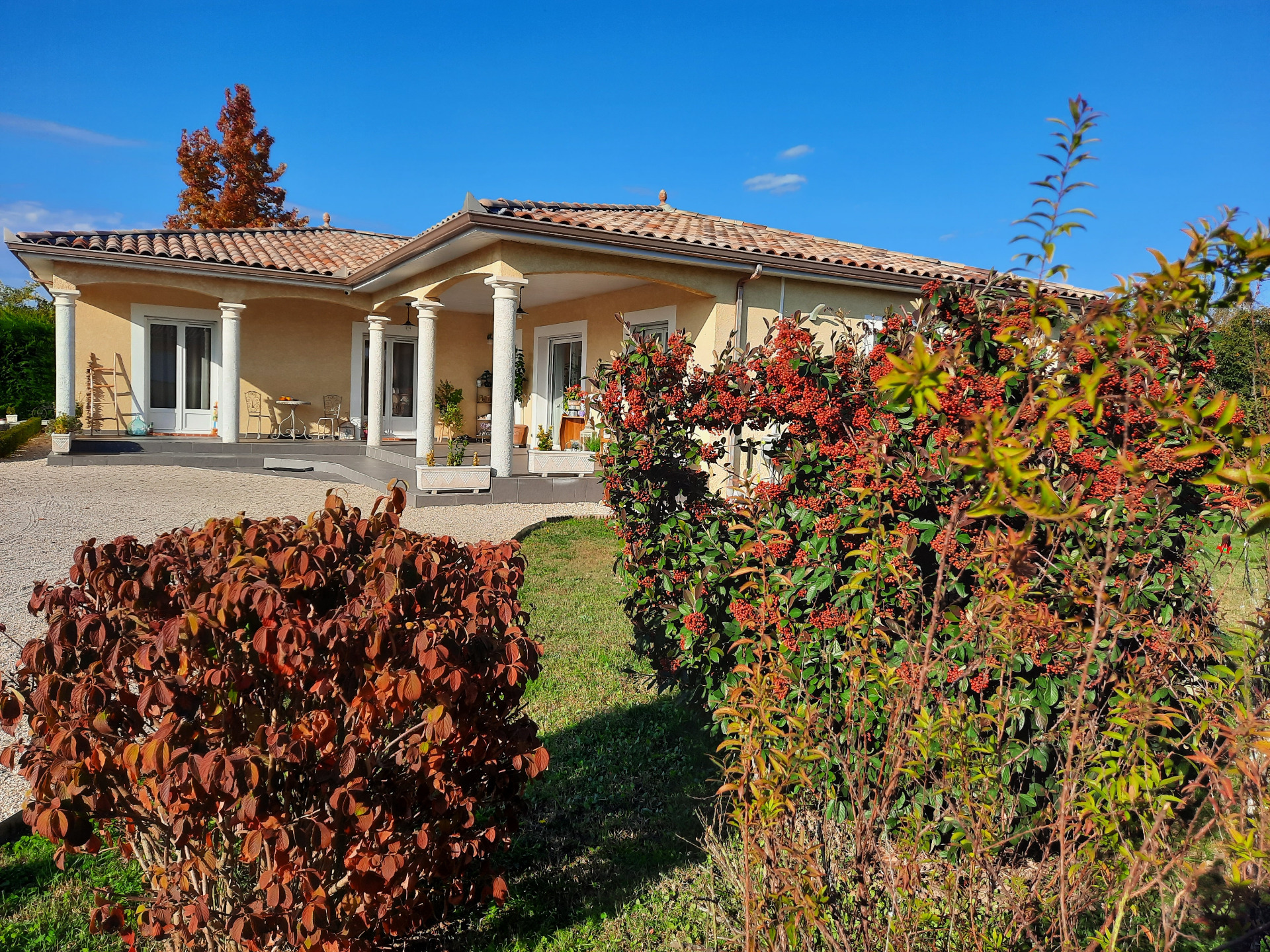 Maison