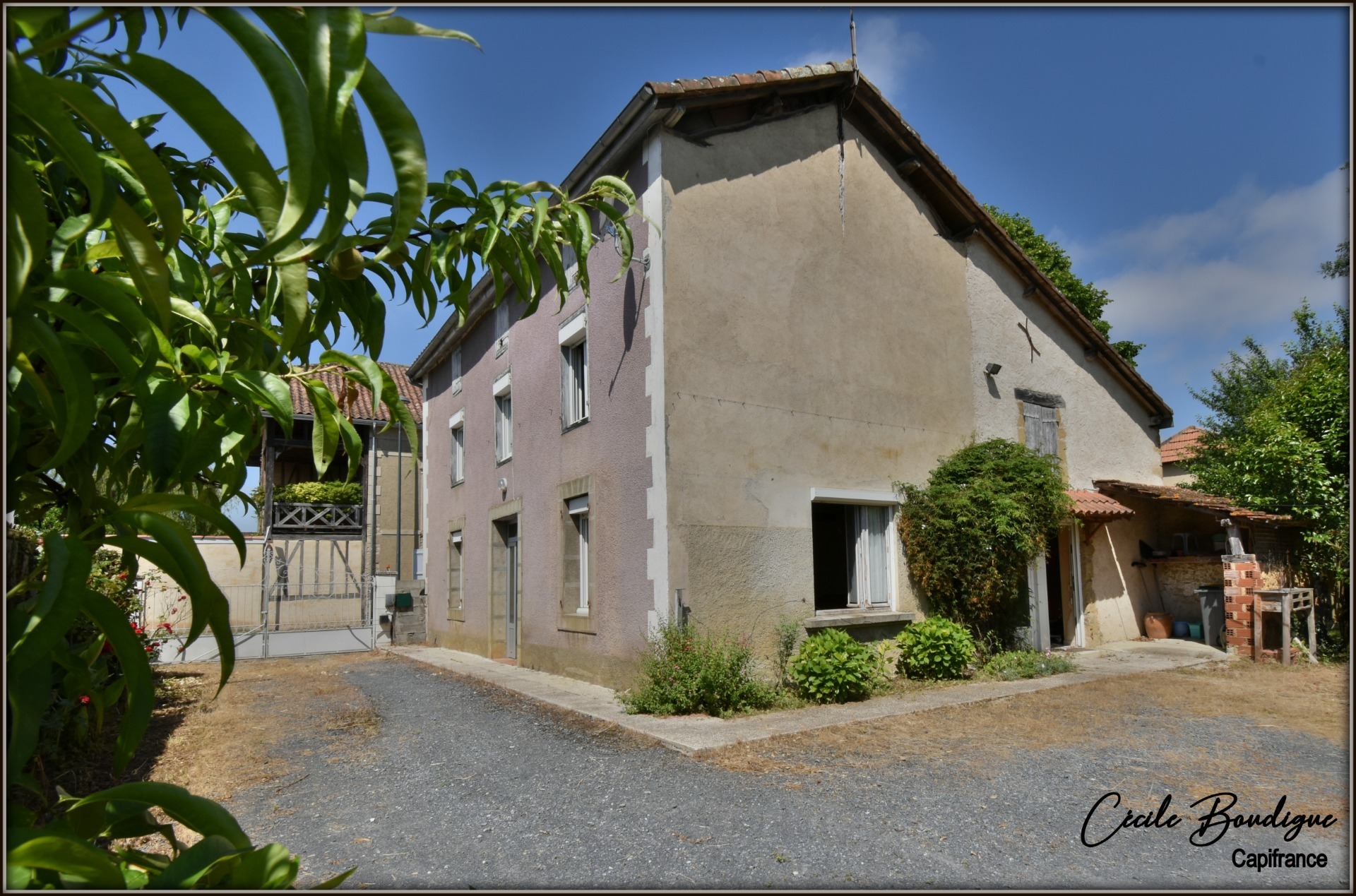 Maison