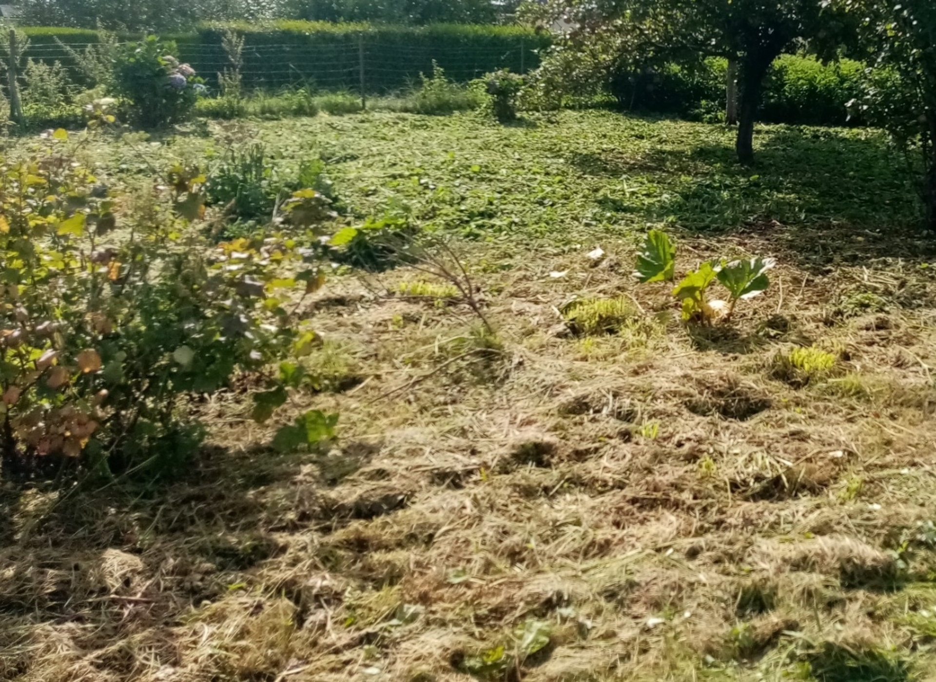 Terrain