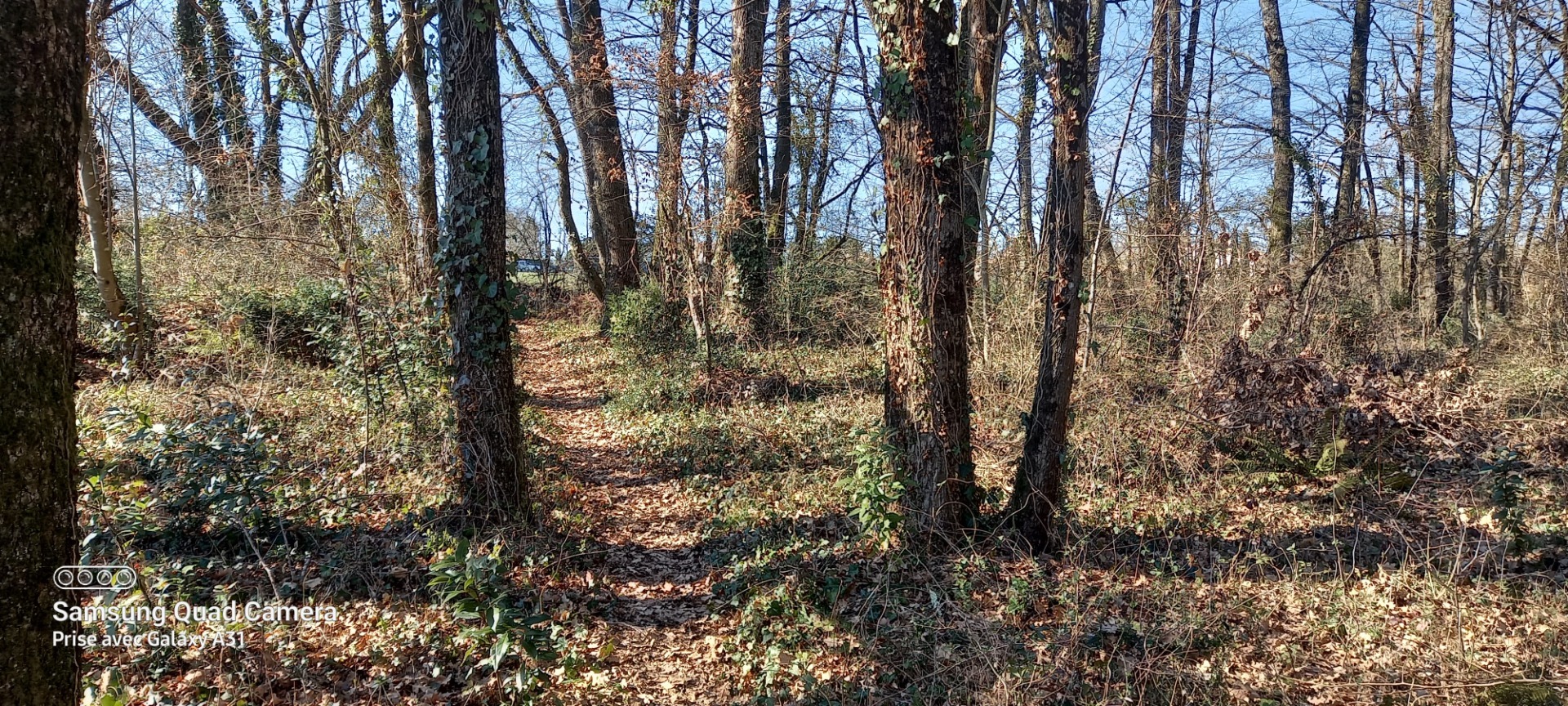 Terrain