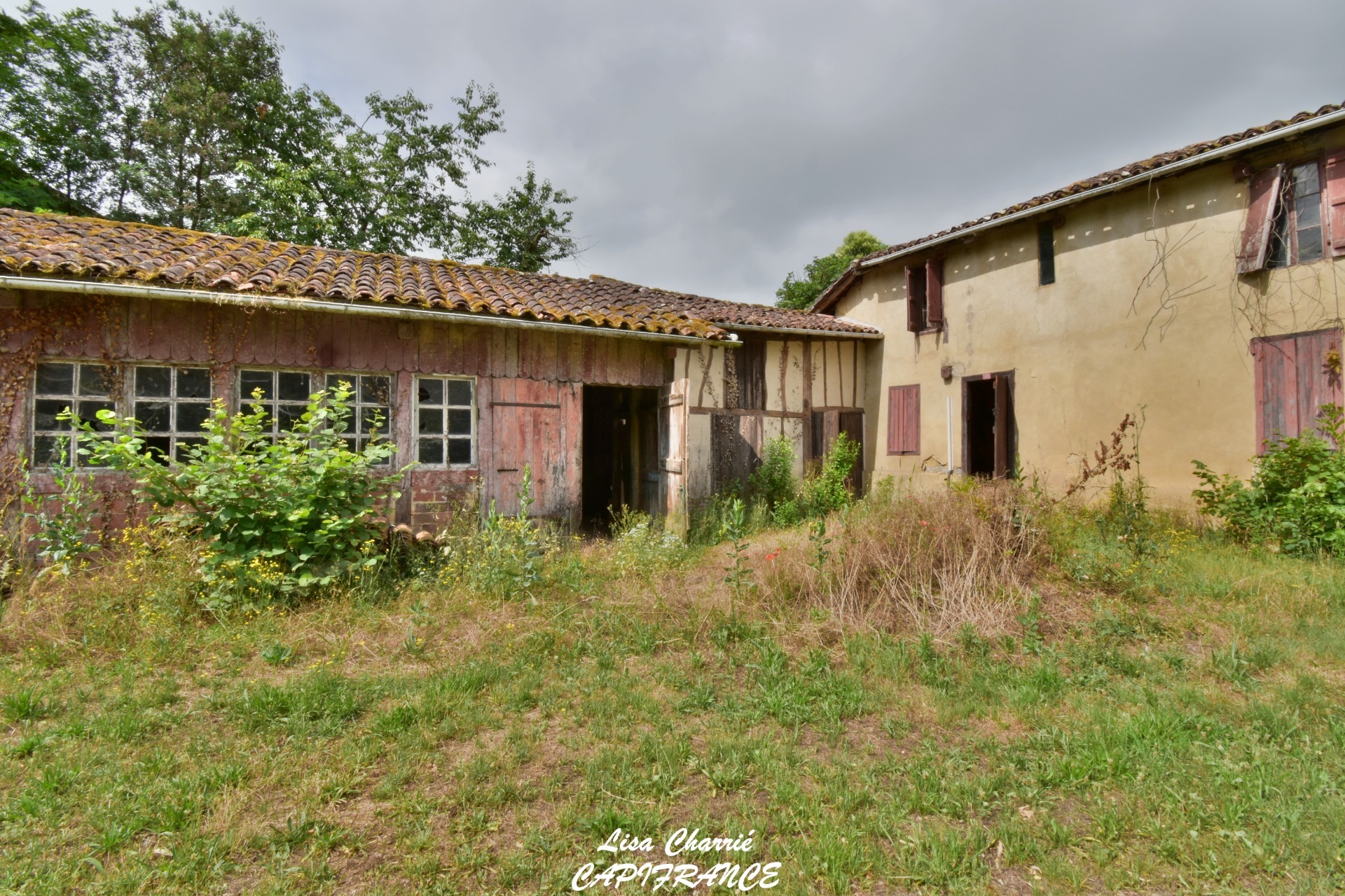 Maison