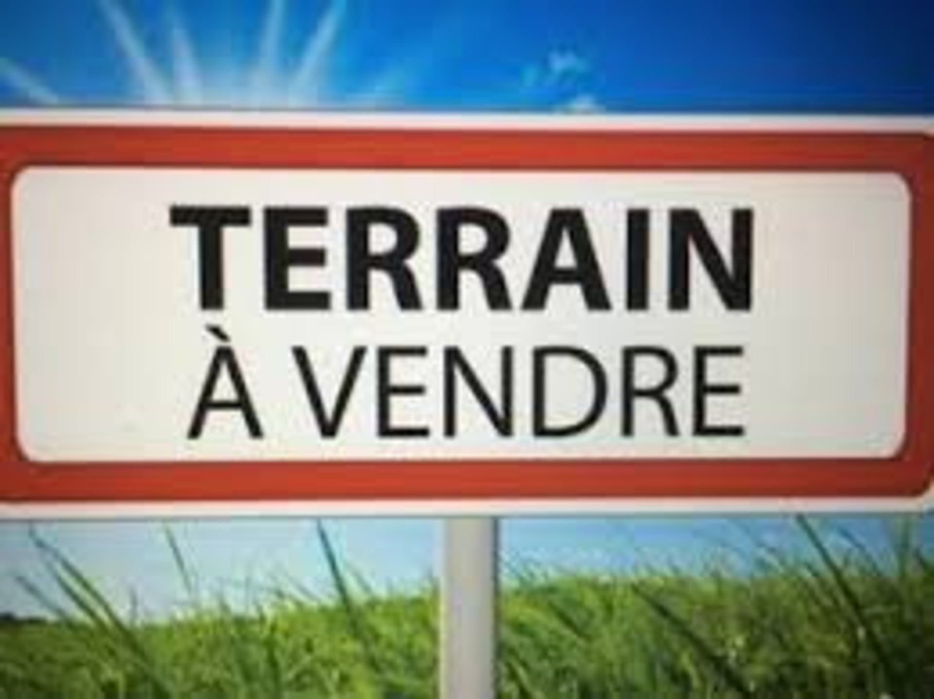 Terrain