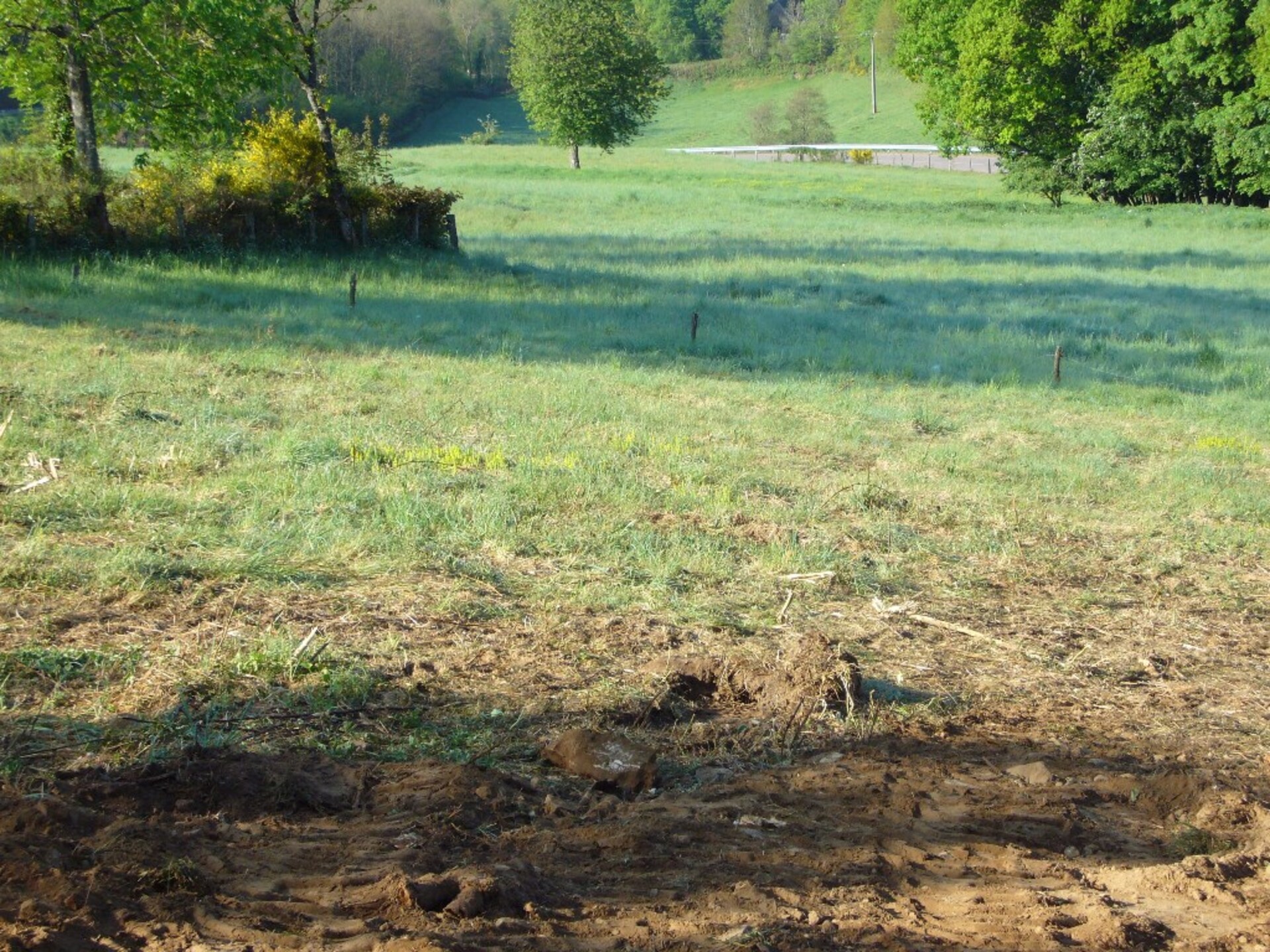 Terrain