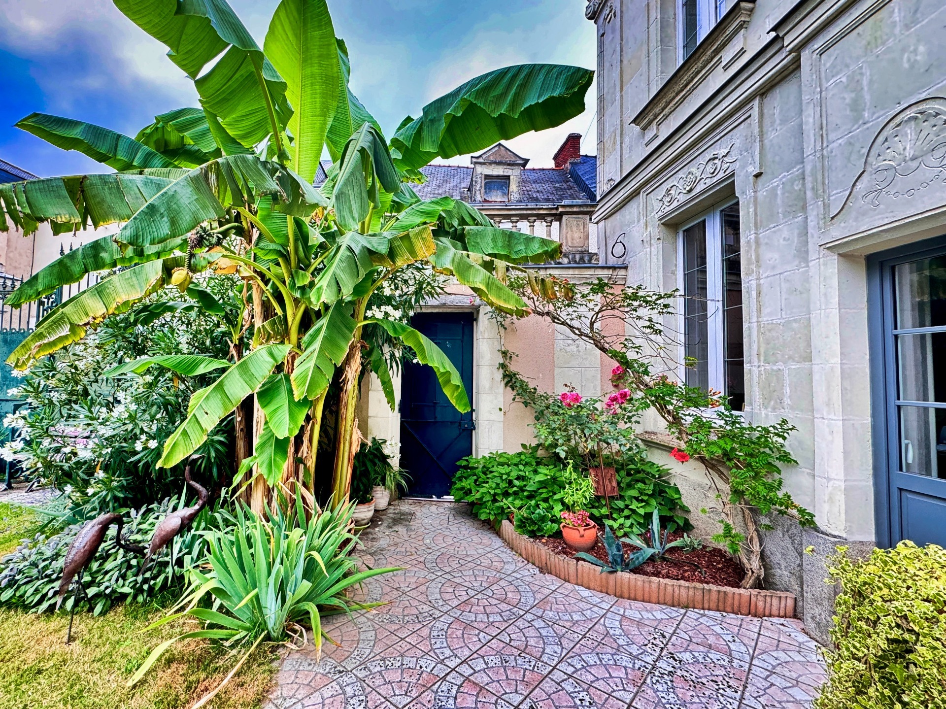 Maison
