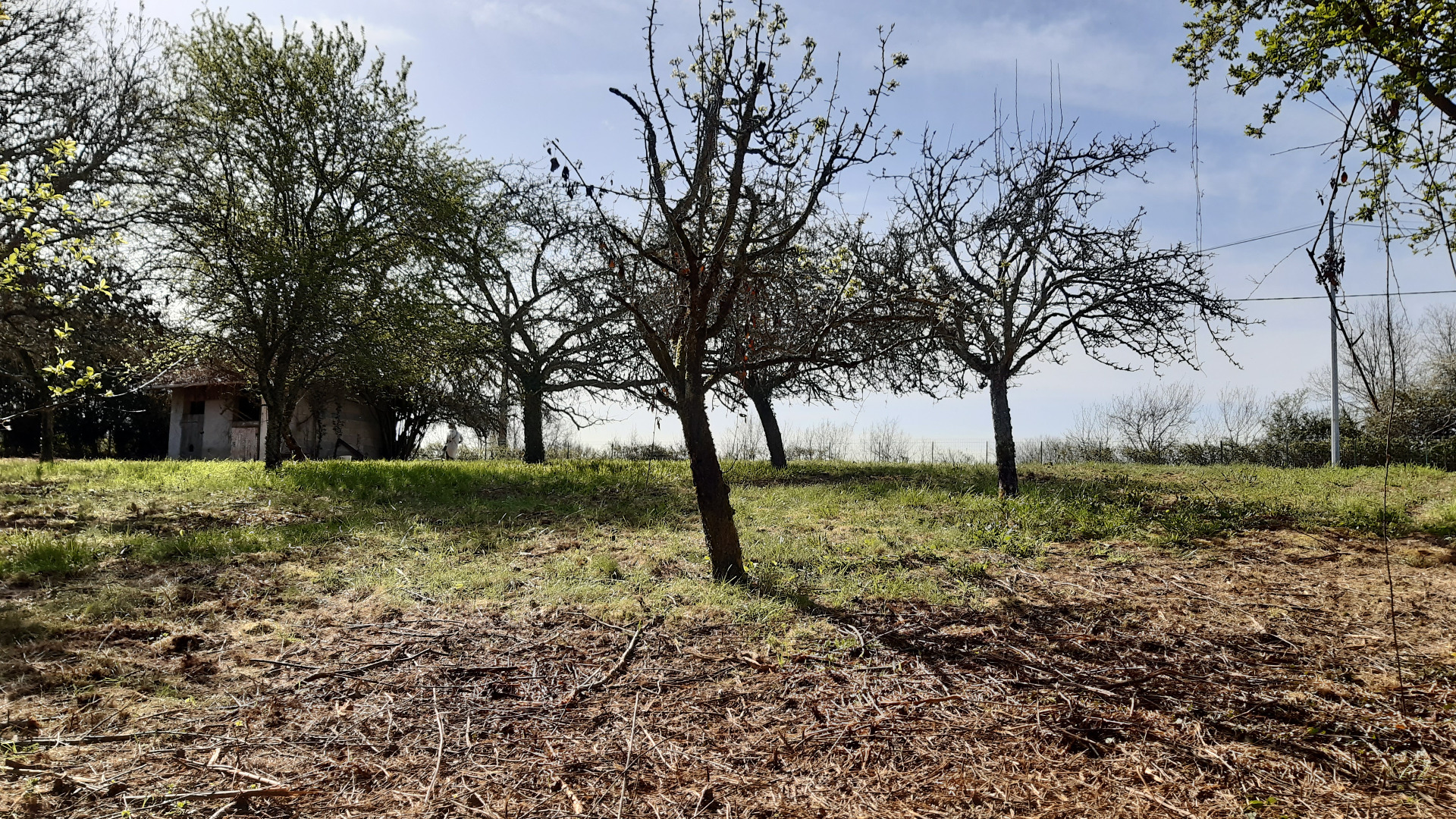 Terrain