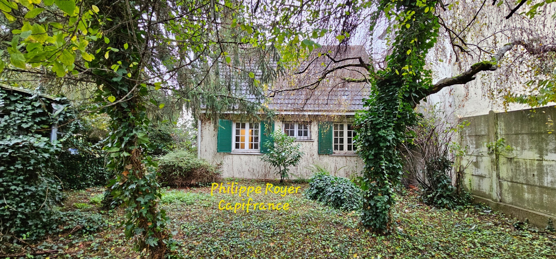 Maison