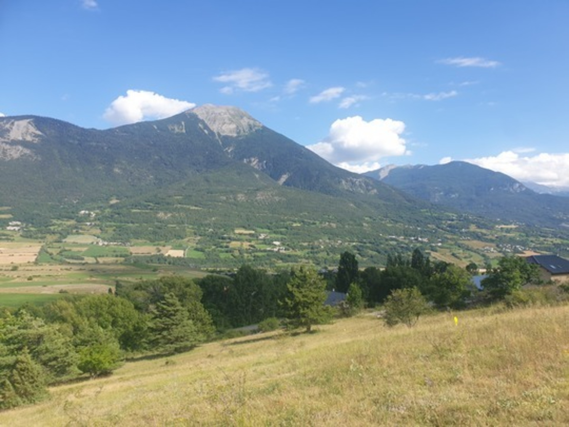 Terrain