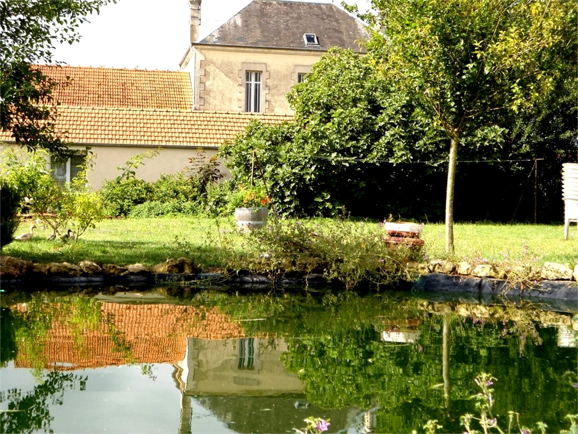 Maison