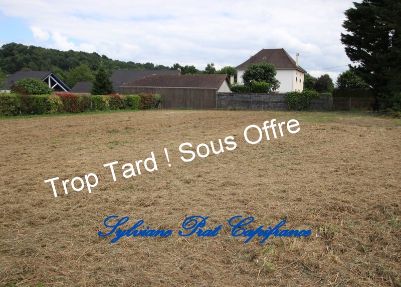 Terrain