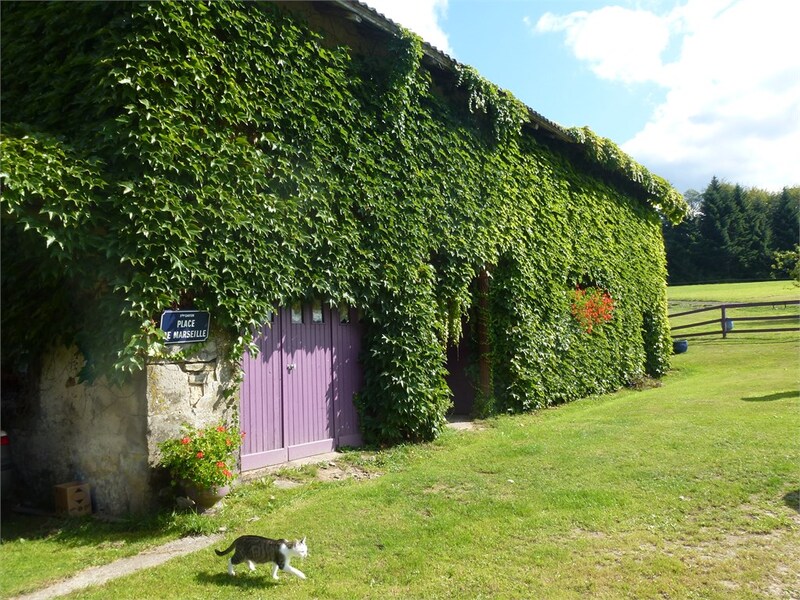 Maison