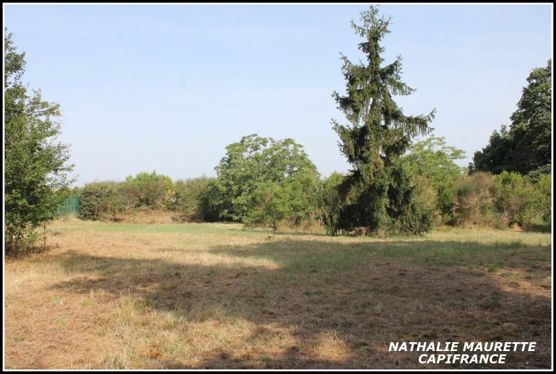 Terrain