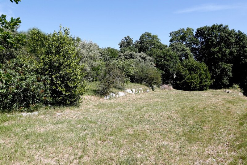 Terrain