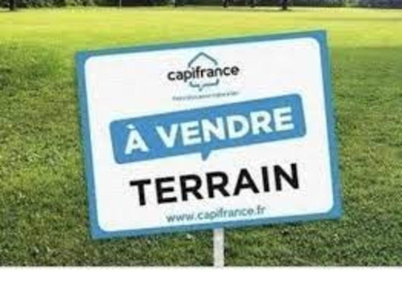 Terrain