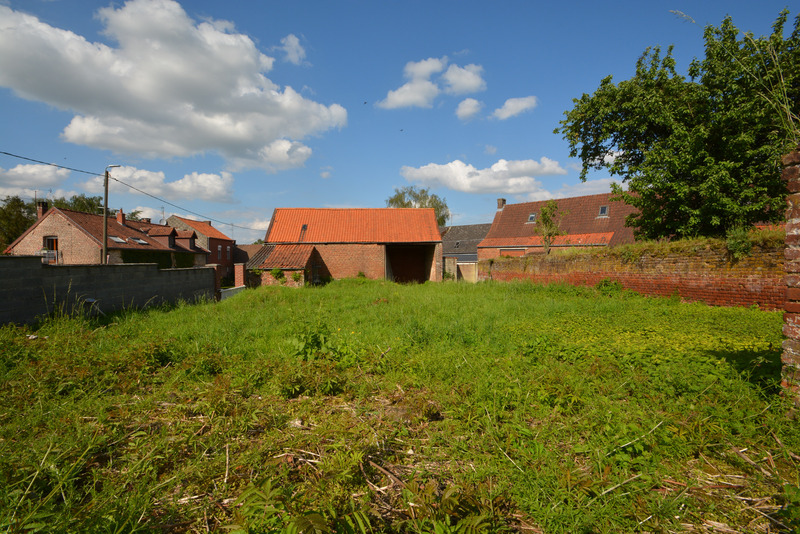 Terrain