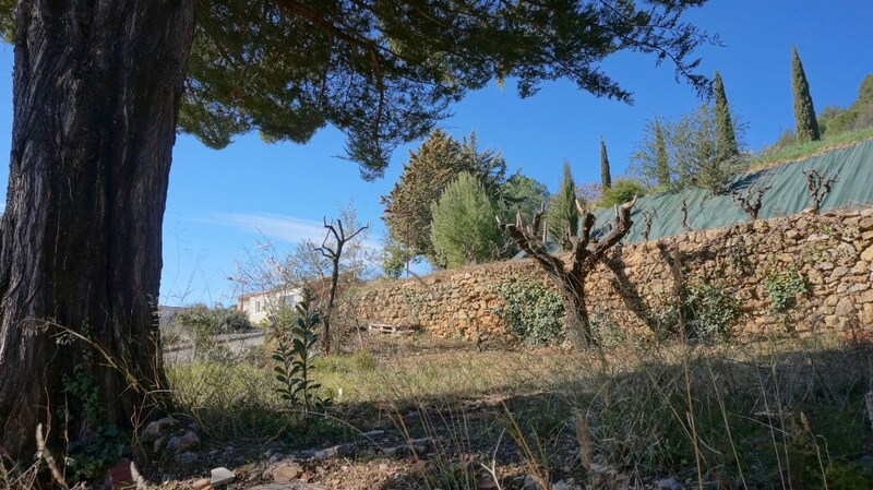 Terrain