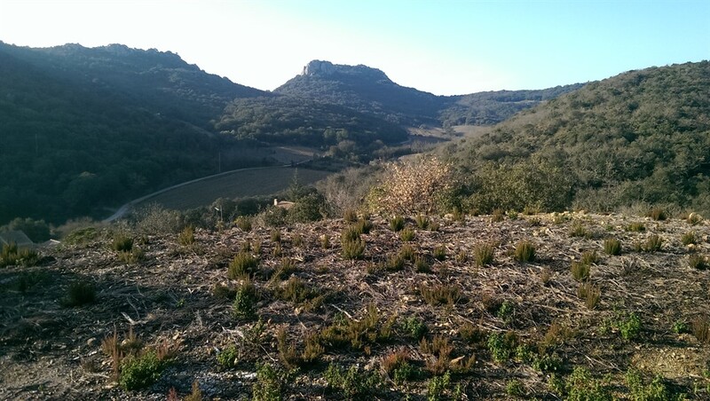 Terrain