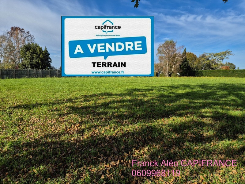 Terrain