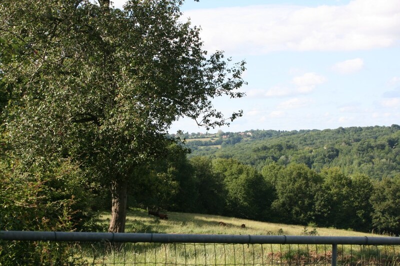 Propriété