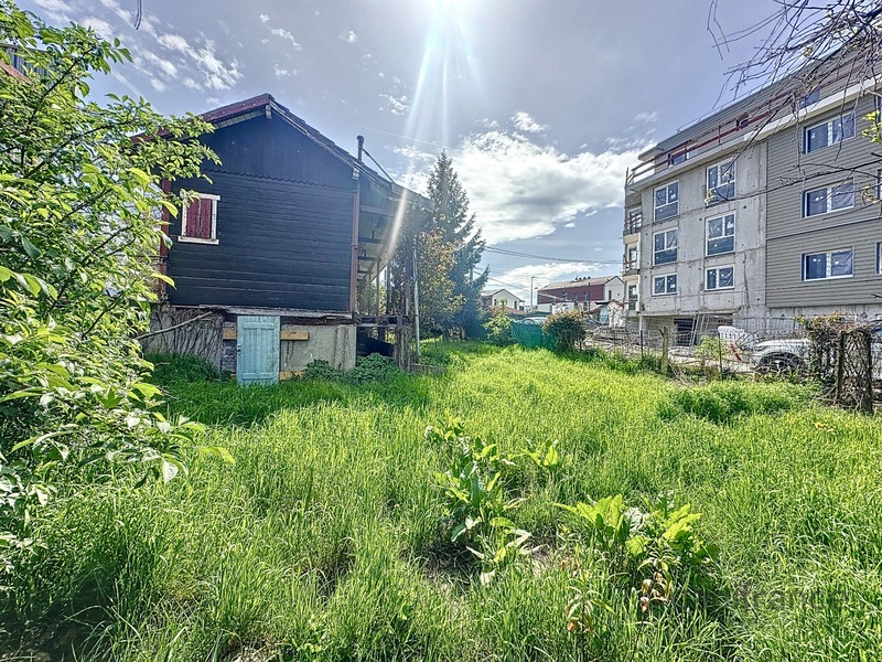Terrain