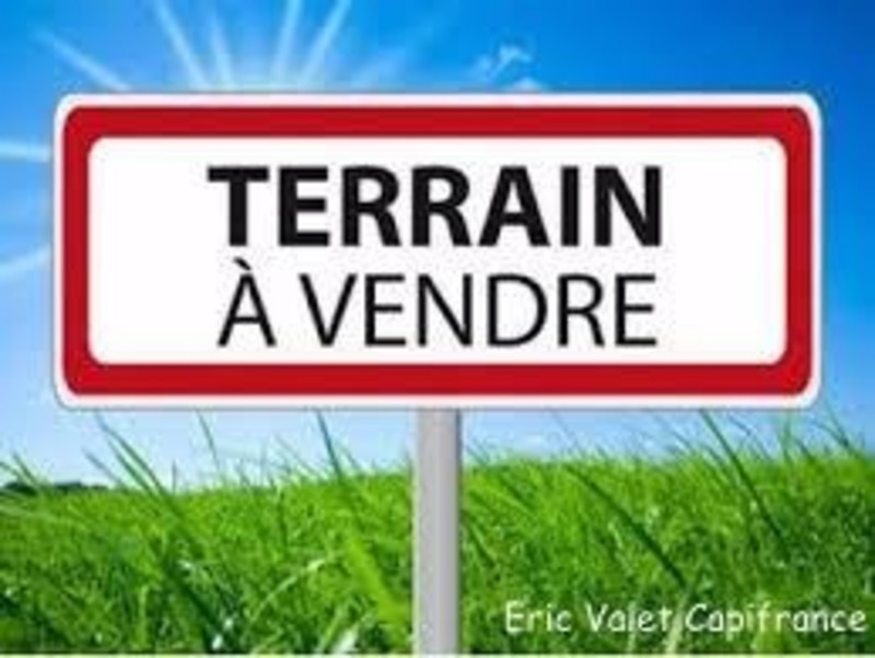 Terrain