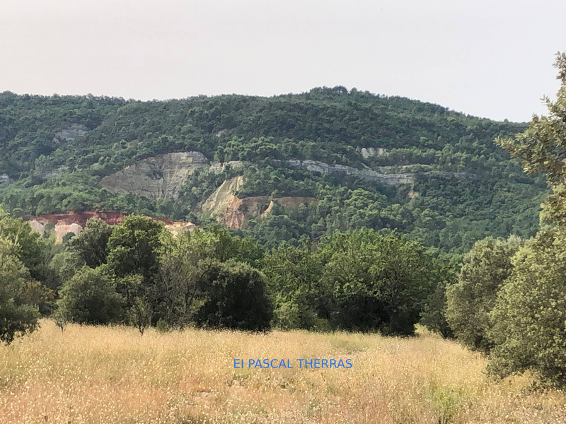 Terrain