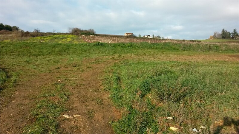Terrain