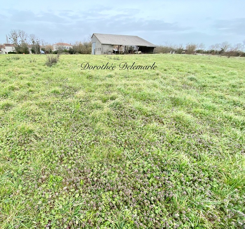 Terrain