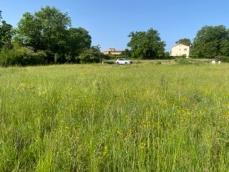 Terrain