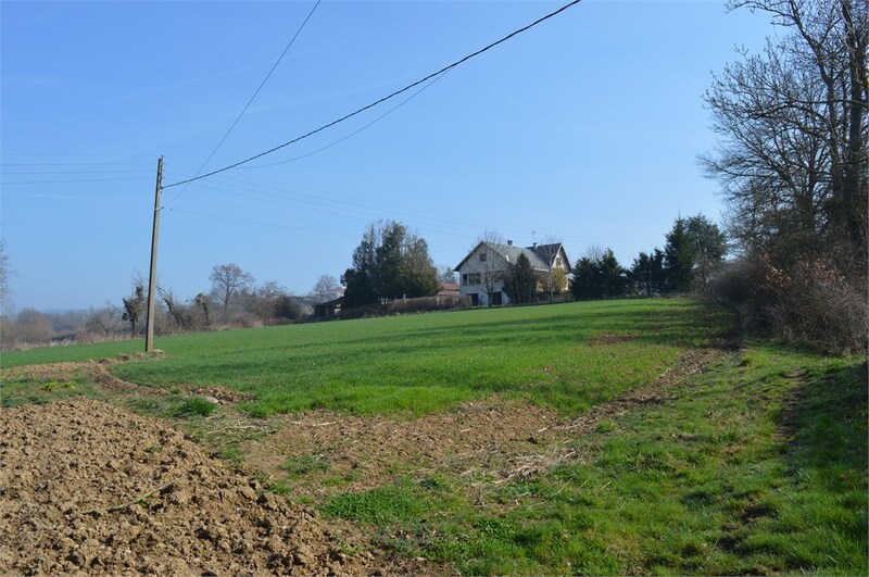 Terrain