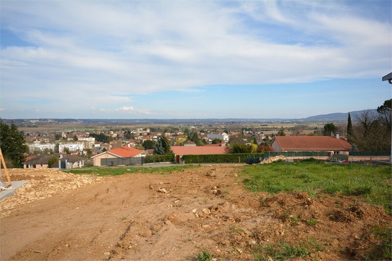Terrain