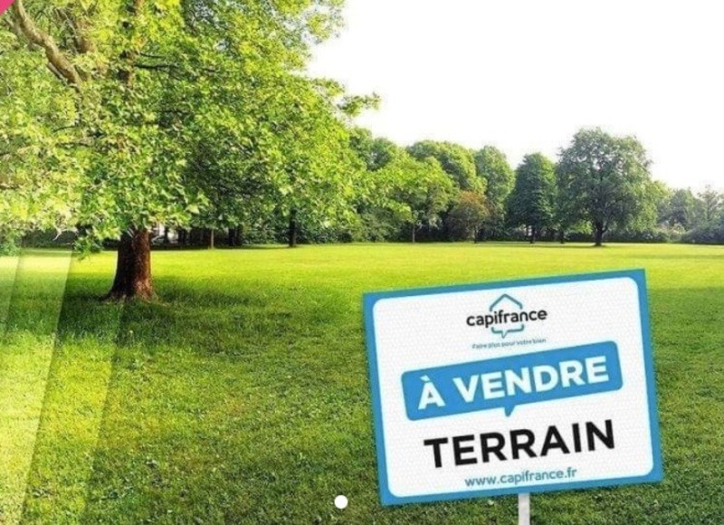 Terrain