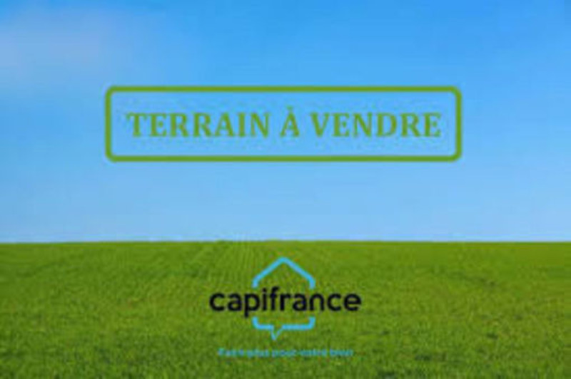 Terrain