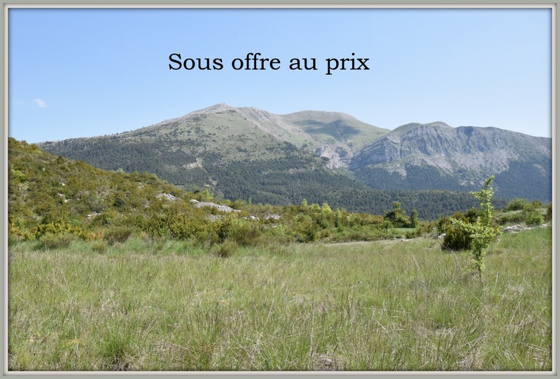 Terrain