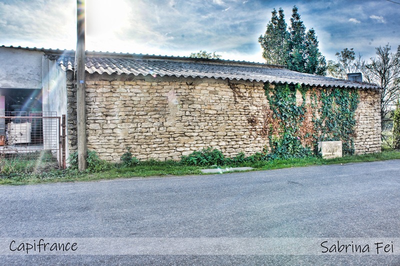 Local/bureau