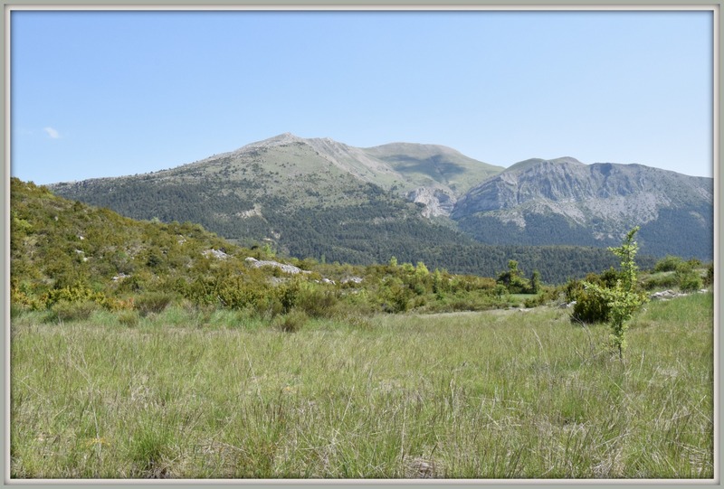 Terrain