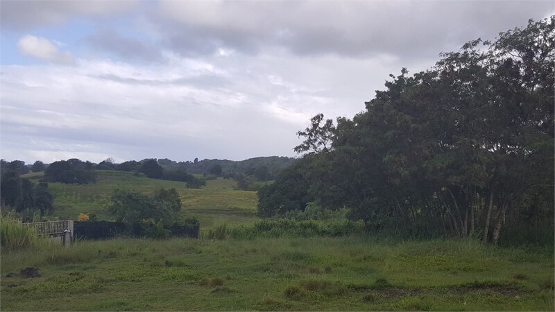 Terrain