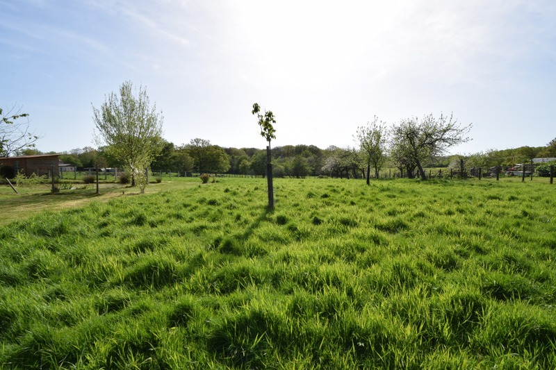 Terrain