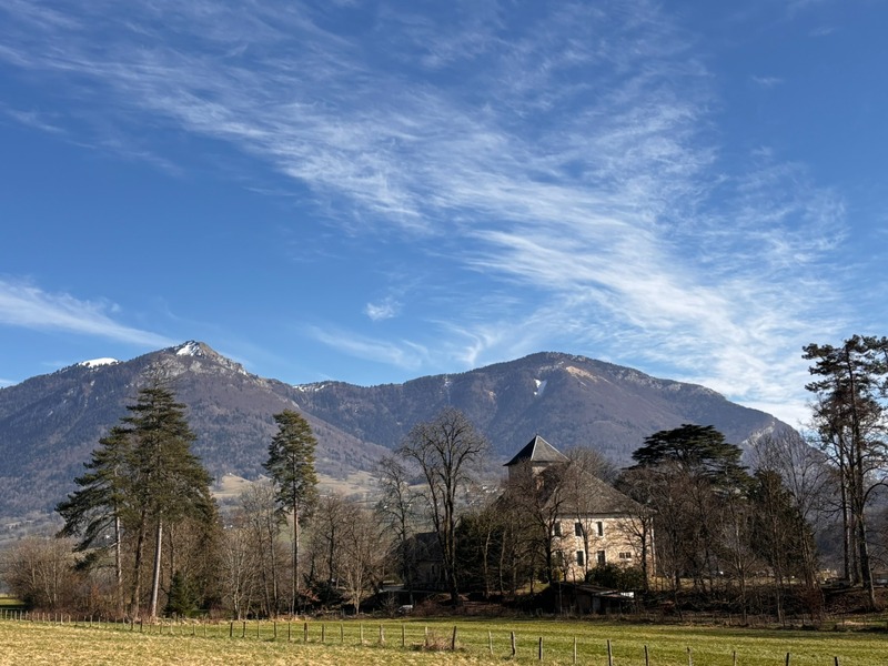 Terrain