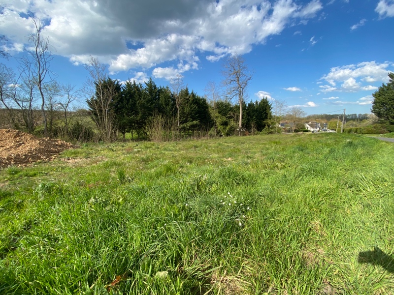 Terrain