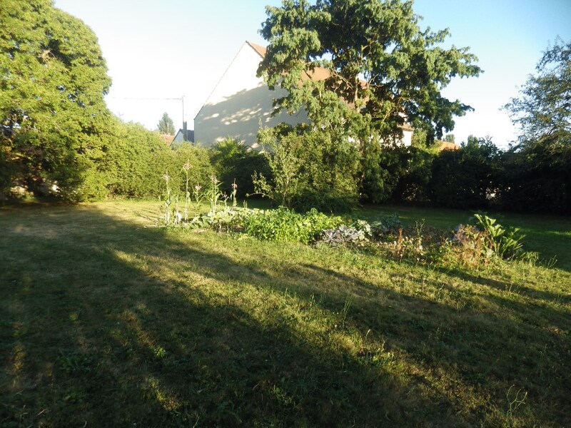 Terrain