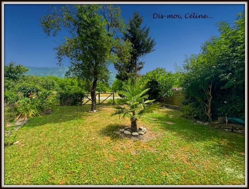 Terrain