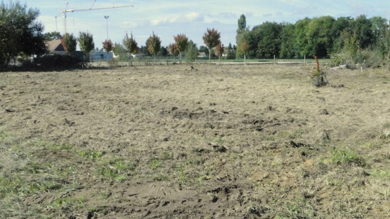 Terrain