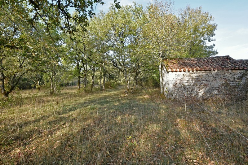 Terrain