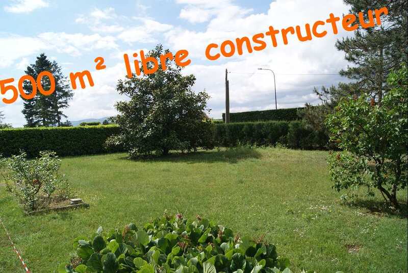 Terrain